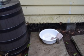 Using organic soap, we created an old-timey wash station.  I feel a bit like we're in the Wild West. 