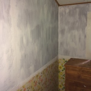 CIL Smart: Anywhere Primer