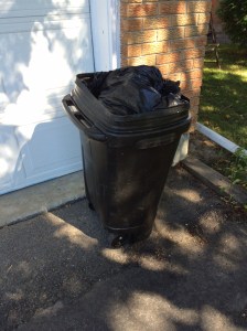 Wow. That's a lot of garbage. Especially considering it came from one of the smallest rooms in the house. 